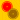 Champion von Cellout Cellout